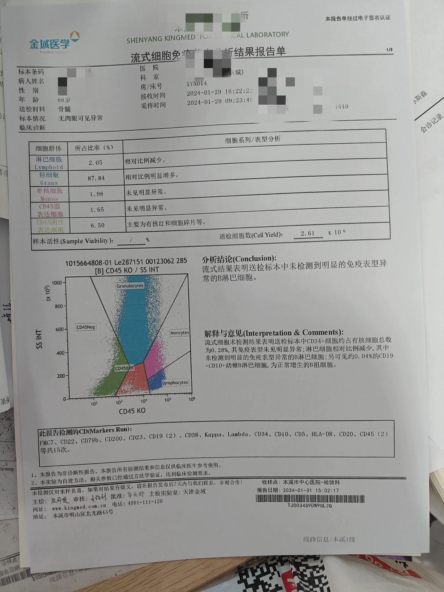 骨穿报告图片