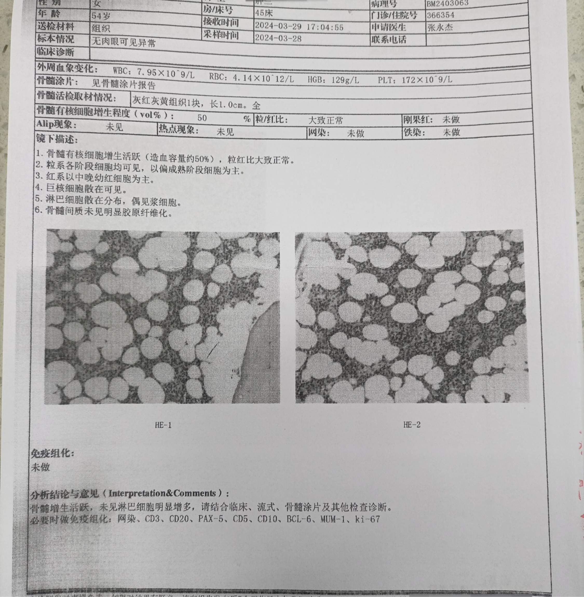 骨穿定位图片