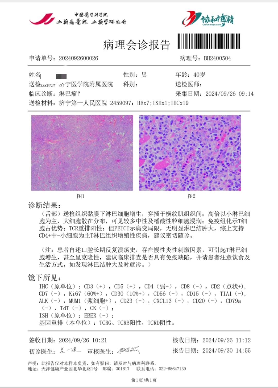 外周血涂片报告图片